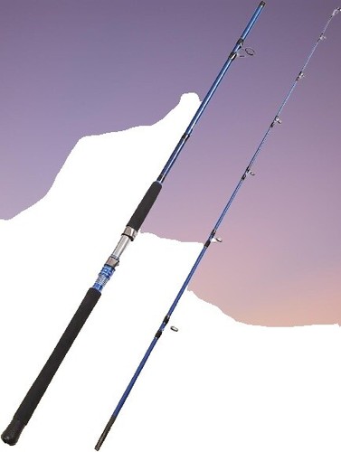 Smith Troutin Spin Tactist TT-48 (Baitcasting 2 Piece) | eBay