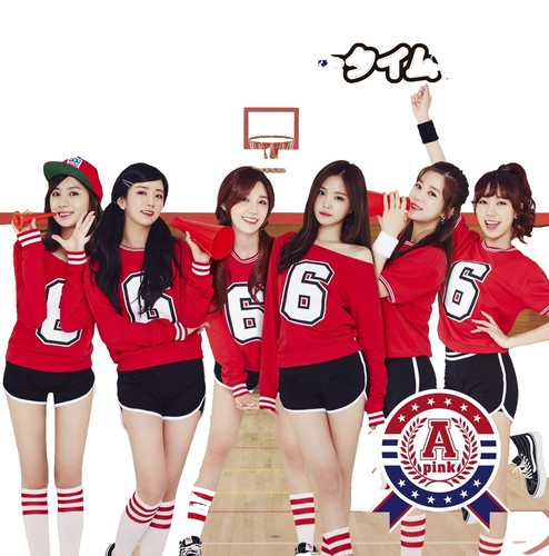 APink Mr. Chu 2015 Taiwan Ltd CD+DVD+12P (Japanese Language) | eBay