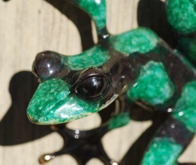 K3804 1997s FROGMAN Tim Cotteril カエル アート Used K3804 1997s