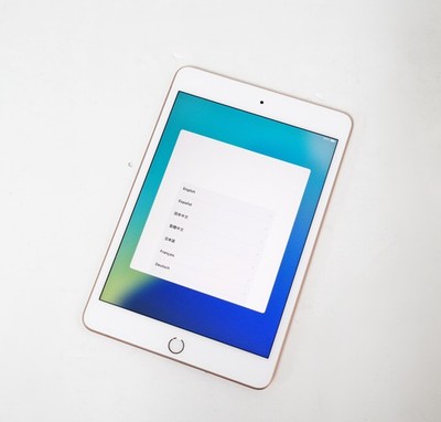 Apple iPad mini (5th Generation) A2133 256 GB, Wi-Fi, 7.9 in