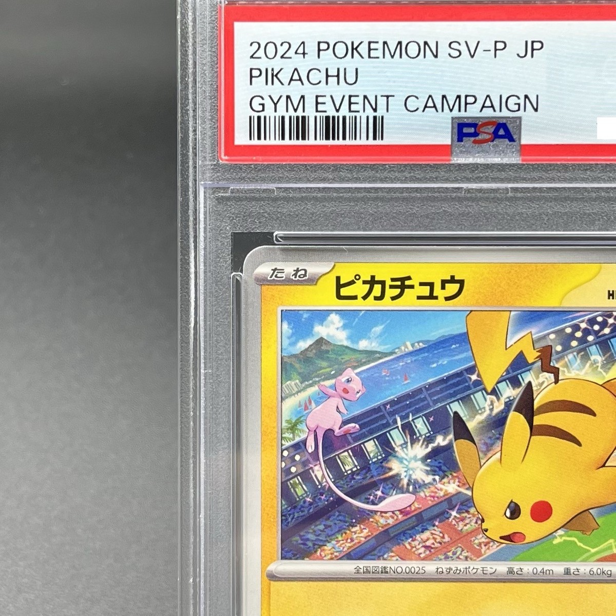 PSA 10 Pikachu 197/SV-P Gym Event WCS 2024 Promo Pokemon Card