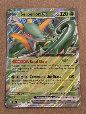 Serperior ex 003/086 Sv: Black Bolt Holo 2025 NM+ | eBay