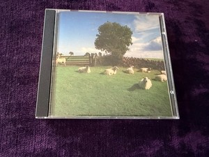 Klf Chill Out | eBay