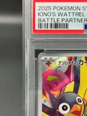 PSA 10 Iono's Wattrel 232/SV-P Battle Partners Promo Pokemon Card