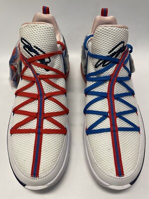 Size 17 - Nike LeBron 17 Low Tune Squad for sale online | eBay