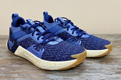 Under Armour Project Rock 6 Blue Gym Training Shoes 3026534-400