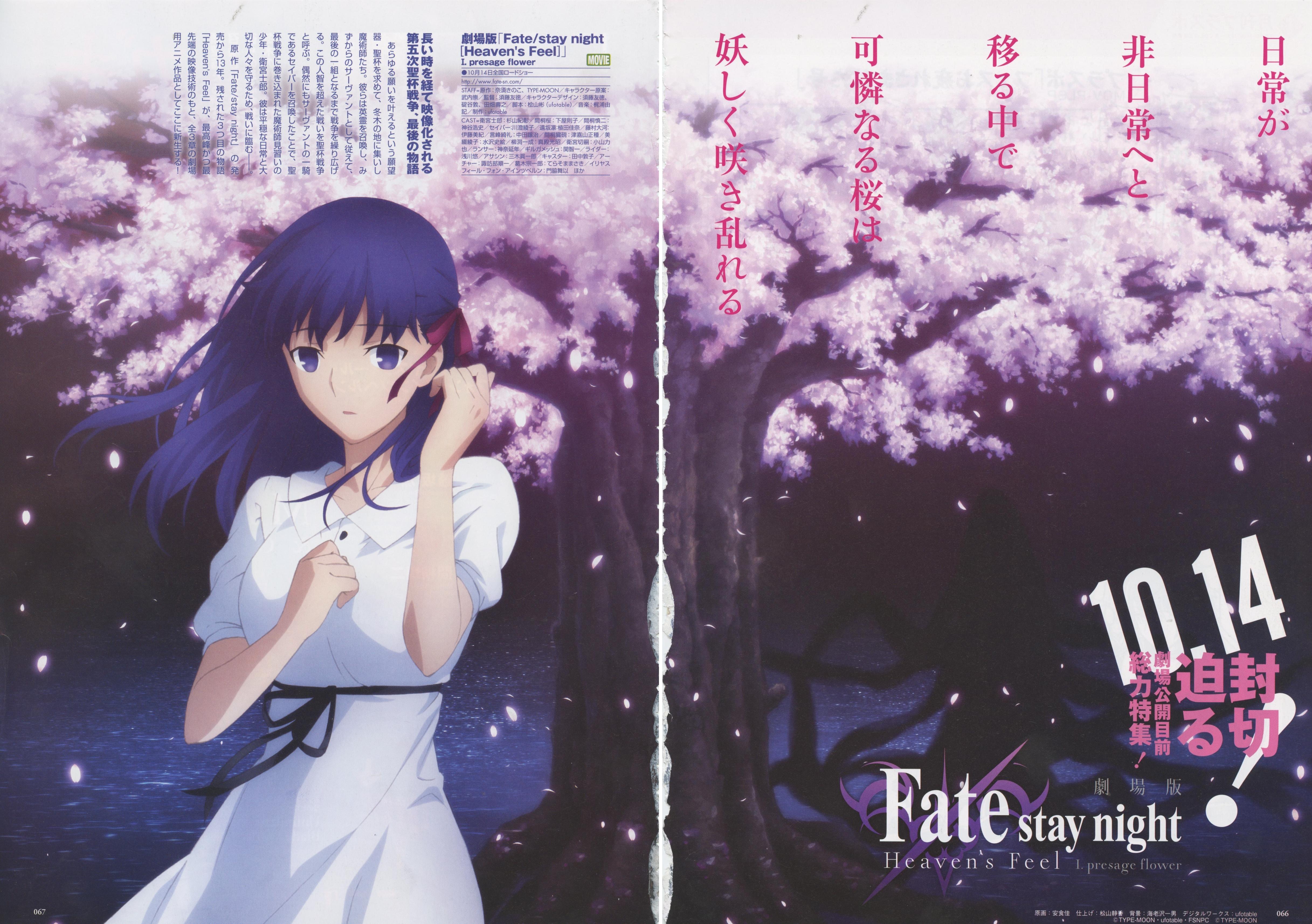 Fate/Stay Night [Heaven's Feel] I. Presage Flower new official art