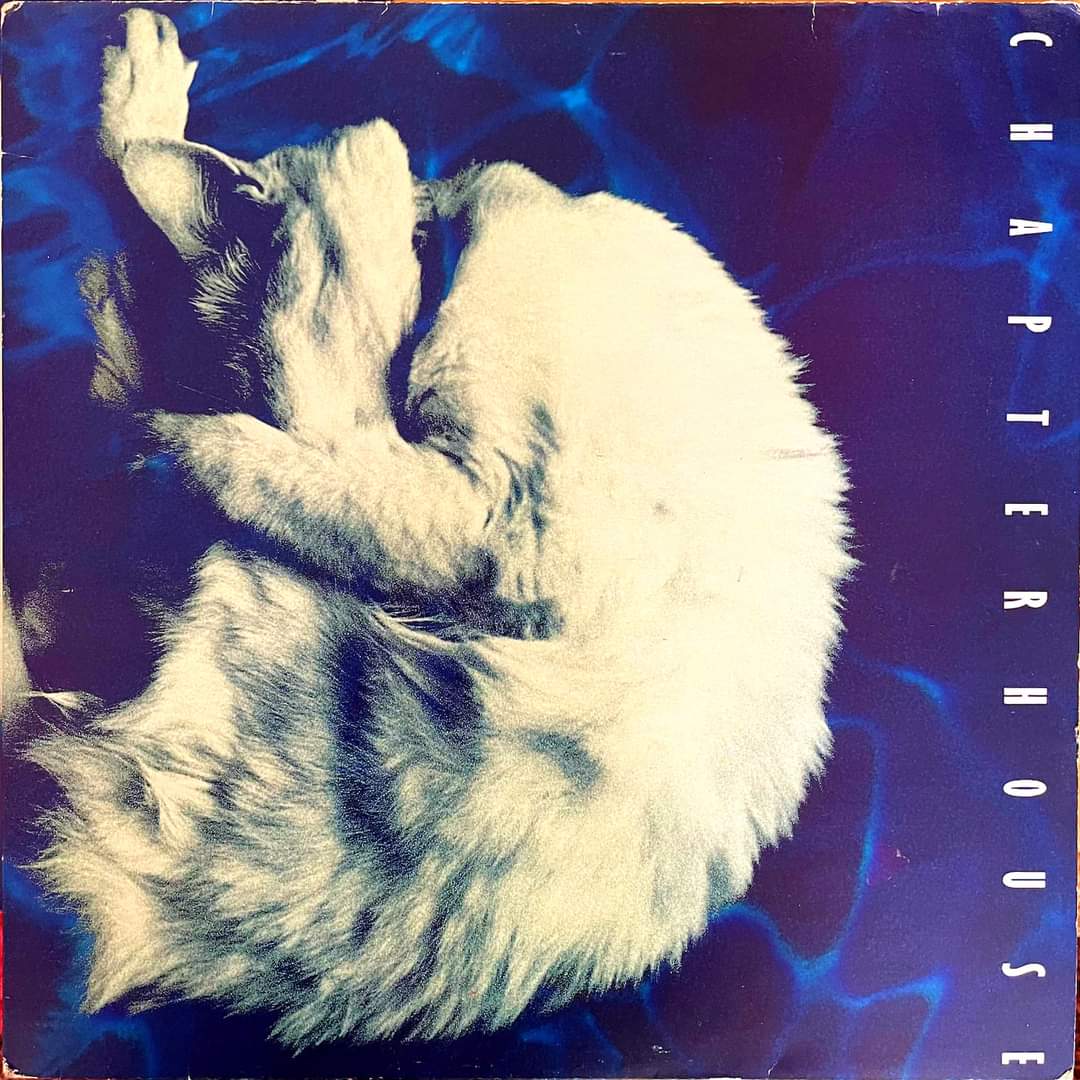 30年前の今日、Chapterhouseがデビューアルバム「Whirpool」をリリース