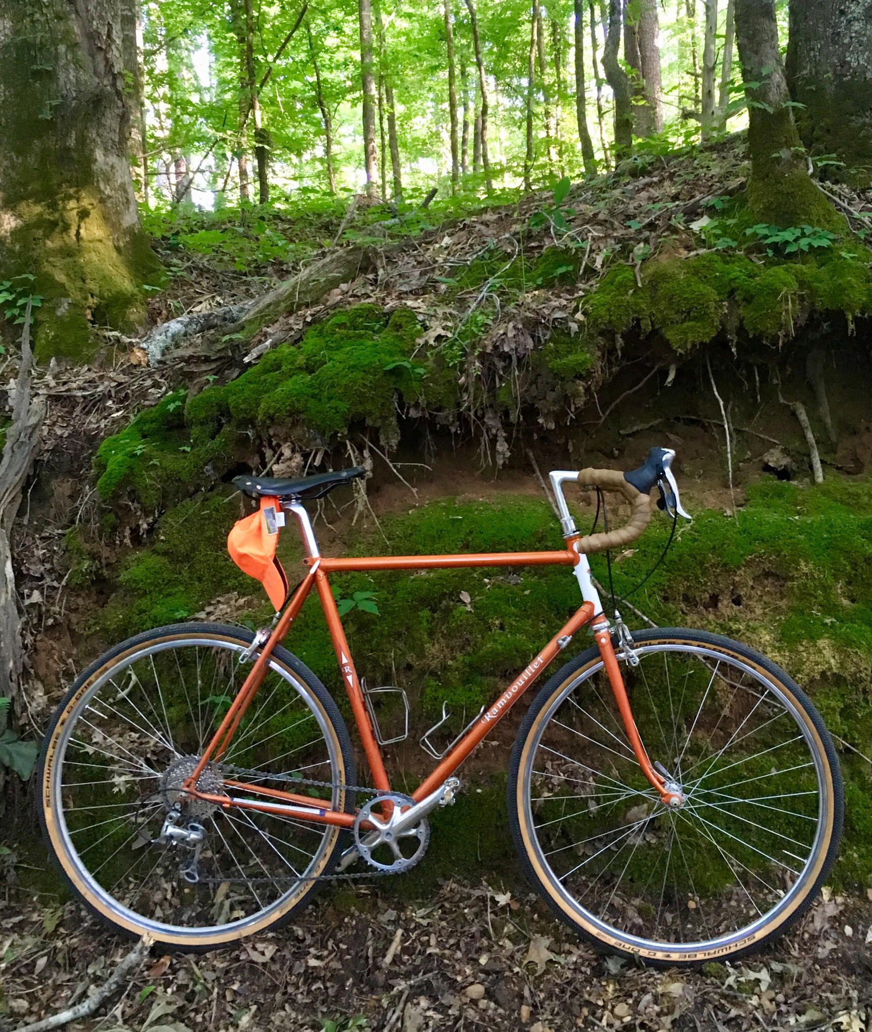 Quarantine Project: Converted my old Rivendell Rambouillet to a