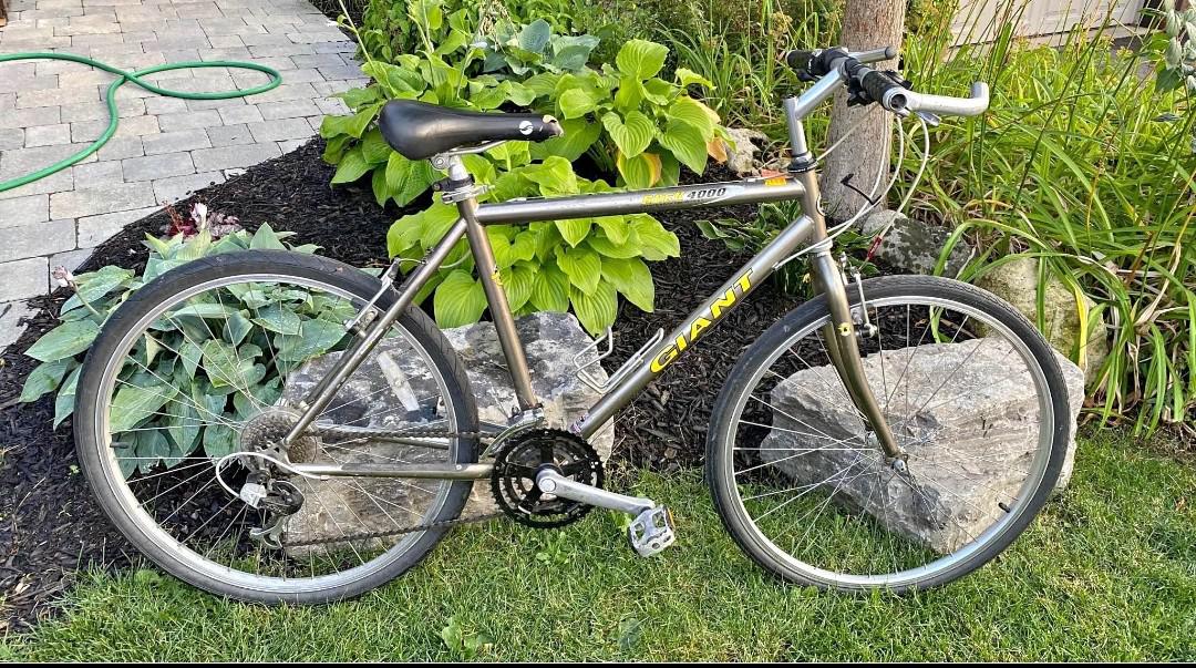 地元のエリアでGiant Rock 4000っていうのが売ってるの見たんだけど