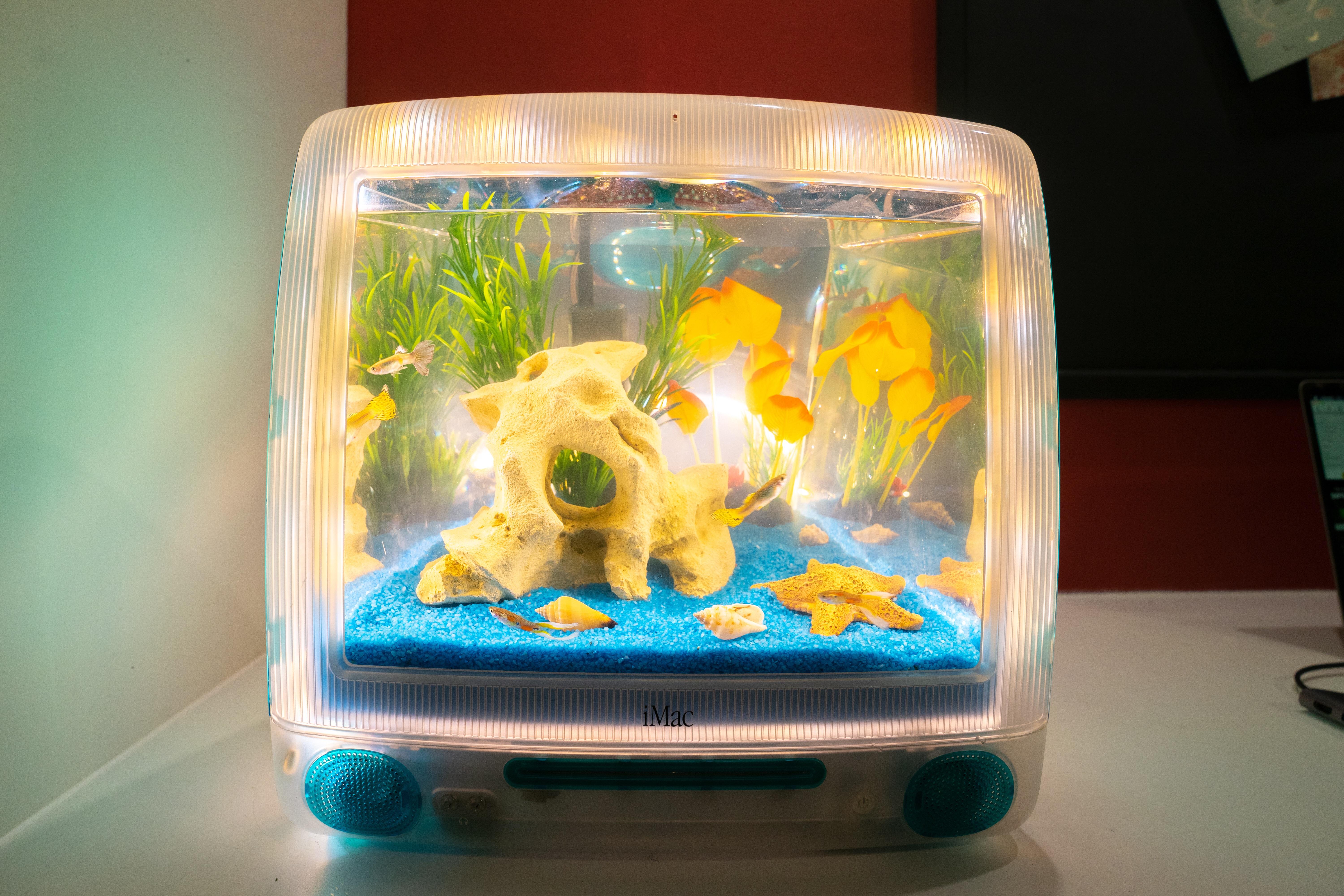 壊れたiMac G3を、こんな小さな水槽に変身させたんだ。名前は