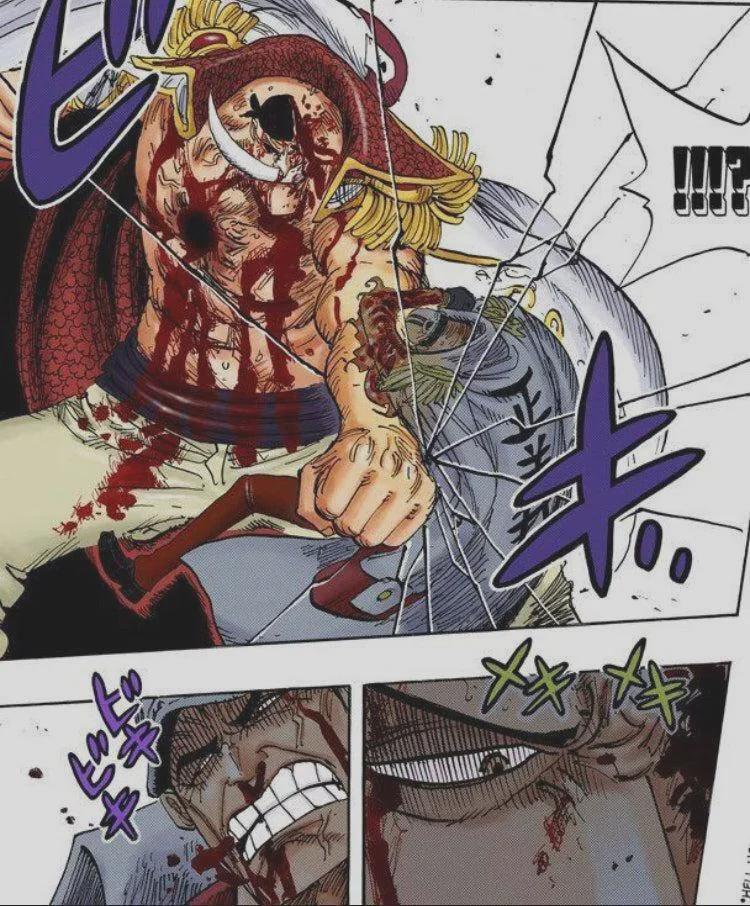 赤犬 vs 頂上戦争時の白ひげ (みんな、いつも「全盛期の白ひげなら赤犬