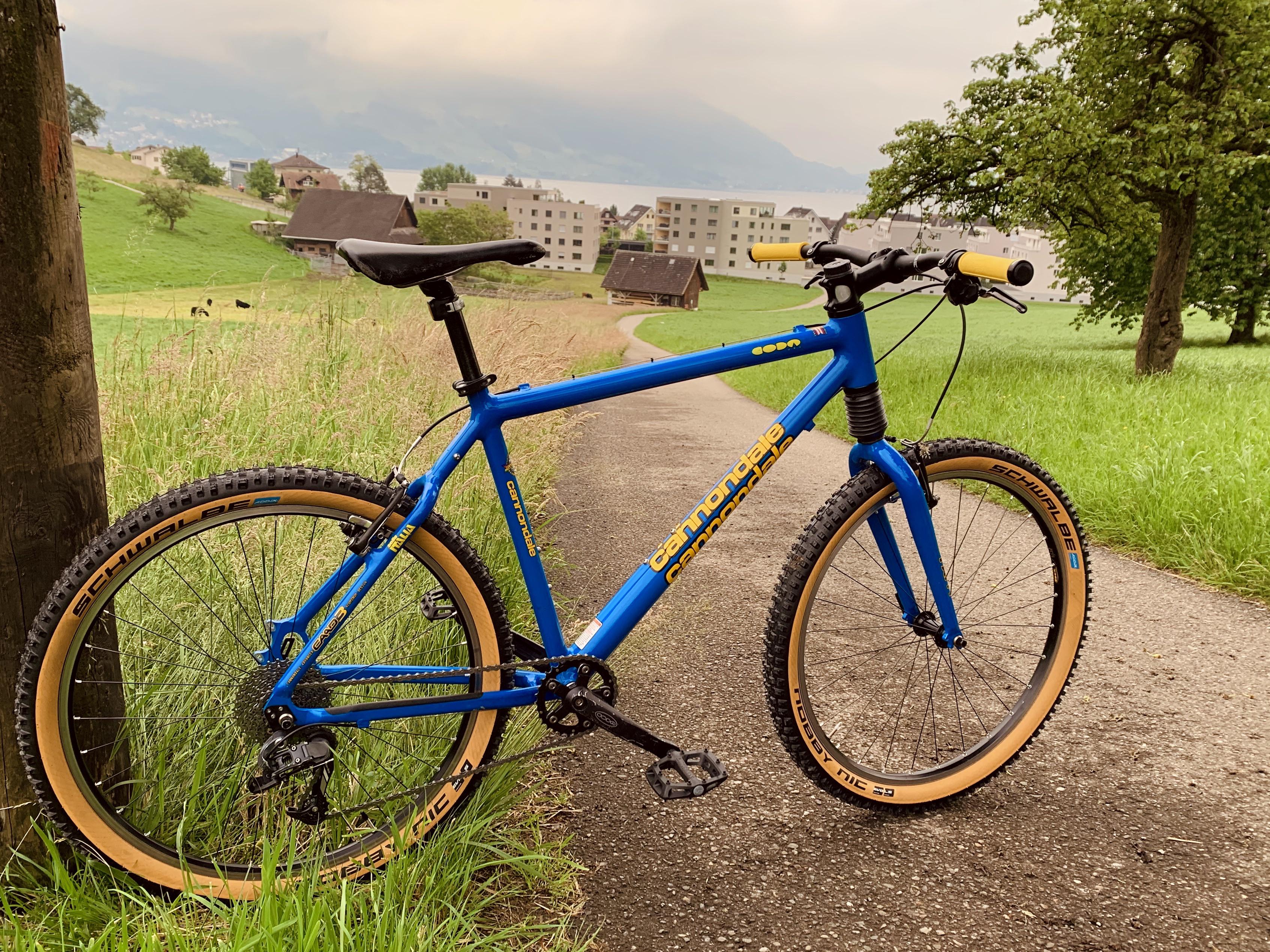 Cannondale F1000 CAAD3 [Year 1999] | 1 x 9 build : r/Bikeporn