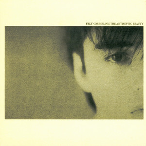 Forever Breathes the Lonely Word - Album by Felt | Spotify