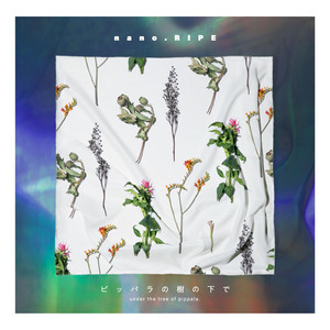 スノードロップ - song and lyrics by nano.RIPE | Spotify