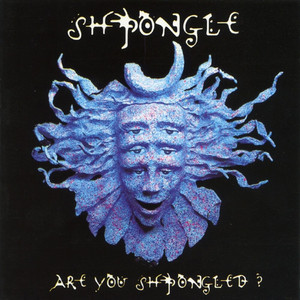 Shpongle Remixed - Album by Shpongle | Spotify