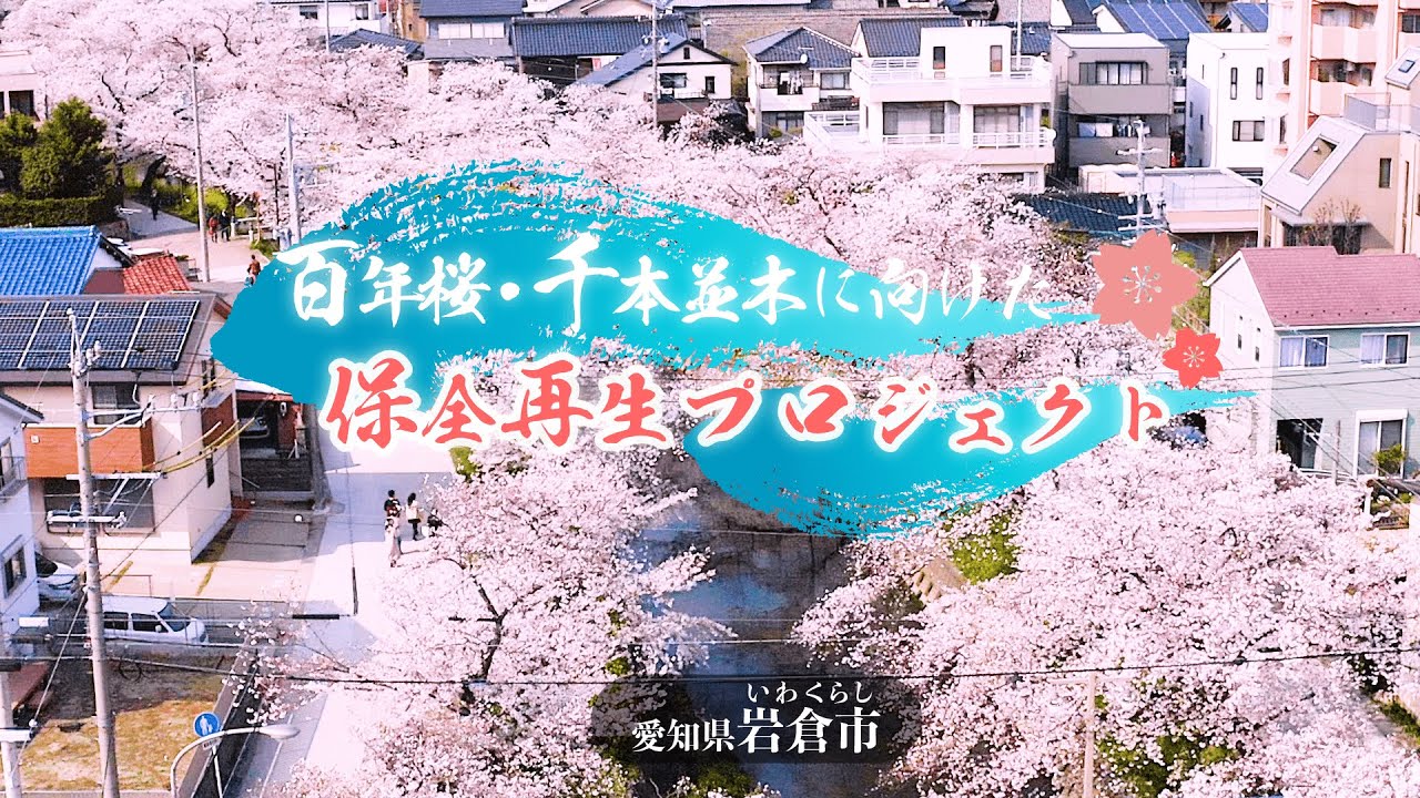 愛知県岩倉市の企業版ふるさと納税 | 次世代へ引き継ぐ桜のバトン
