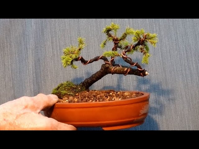 The Great Remodeling of Ezomatsu 2 - YouTube