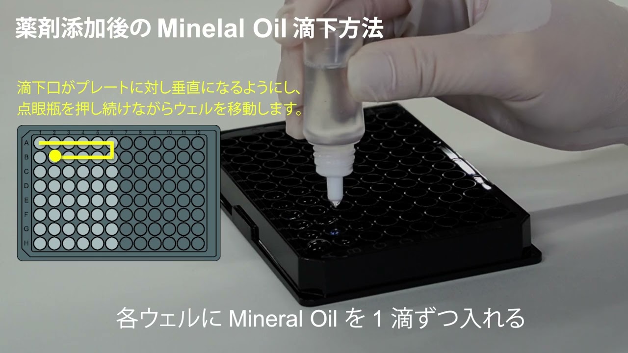 酸素消費速度プレートアッセイキット Extracellular OCR Plate Assay