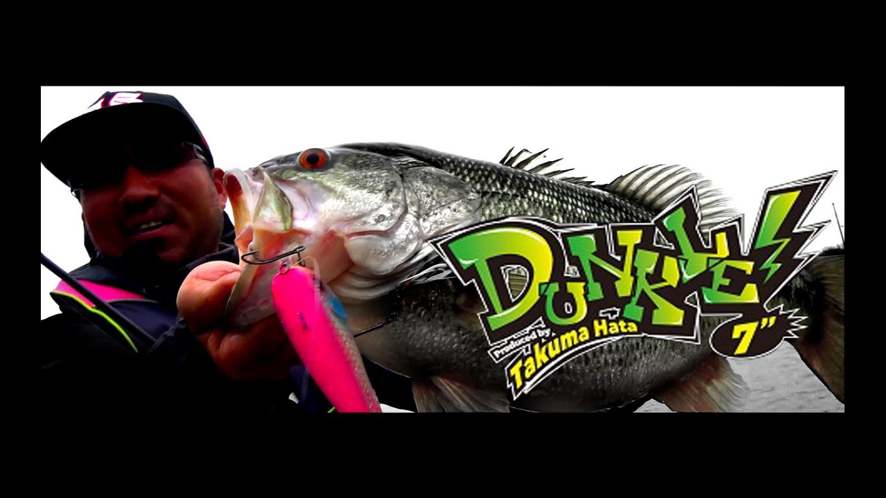 DUNKLE - FRESH WATER バス釣り ｜JACKALL｜ジャッカル｜ルアー