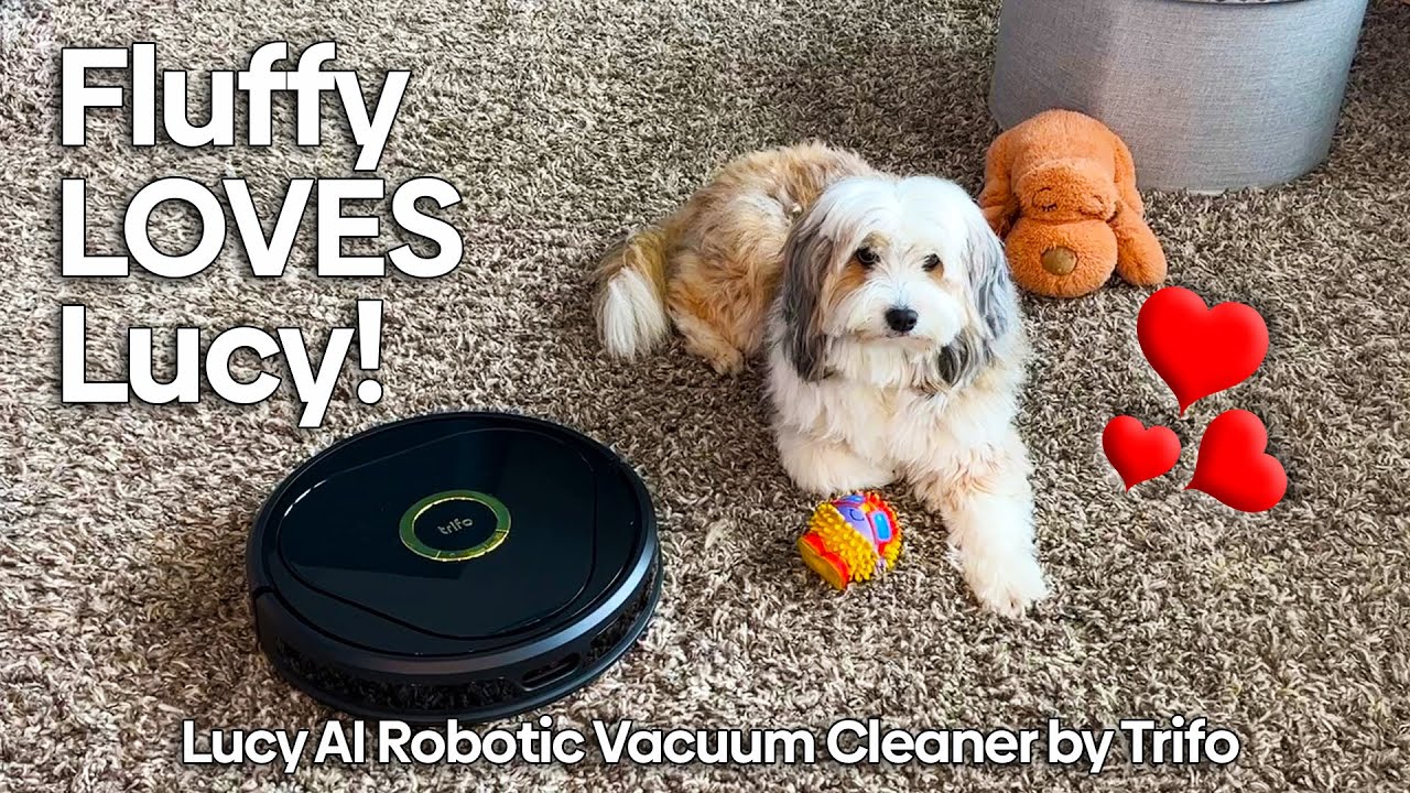 Meet Lucy, an intelligent AI robot vacuum cleaner by Trifo. - YouTube
