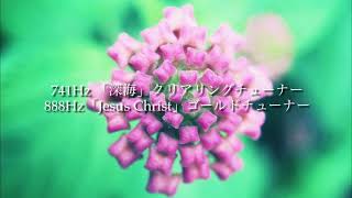 Tuning fork／888Hz ＆ 741Hz 和音／マドモアゼル愛先生の888hz