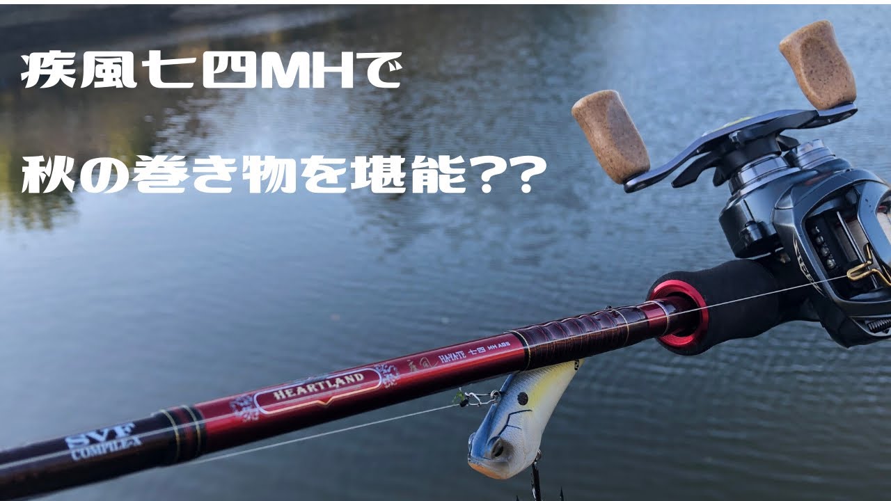 疾風七四MHで、秋の巻き物を堪能？？(ハートランド) - YouTube