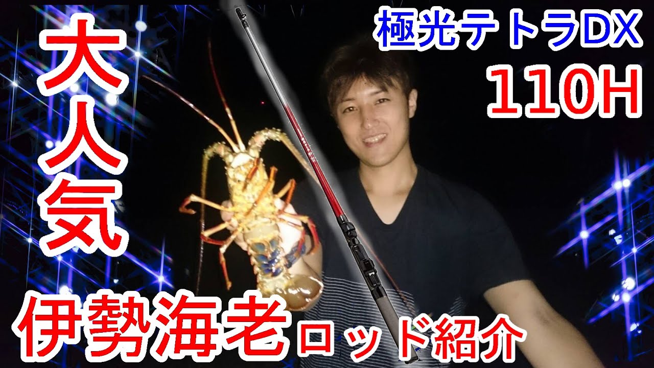 Unboxing] Introducing the popular spiny lobster rod, Aurora Tetra