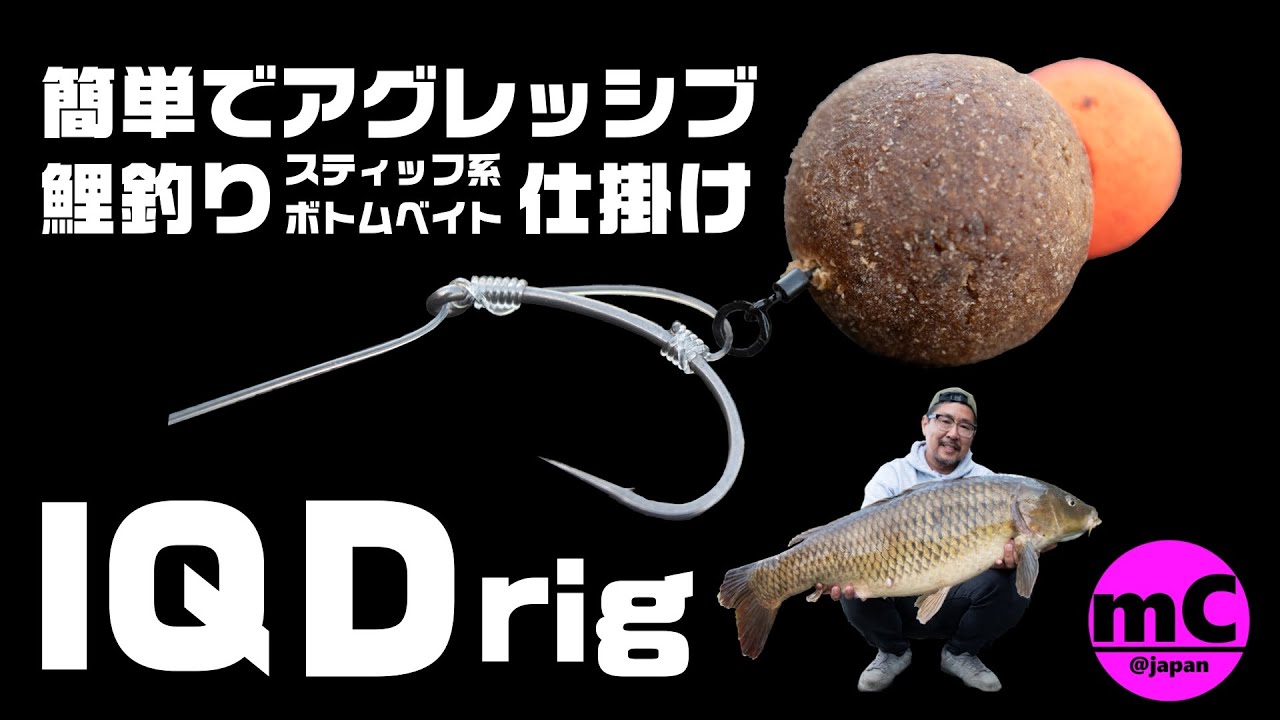鯉釣り】IQ D rig【仕掛け】 - YouTube