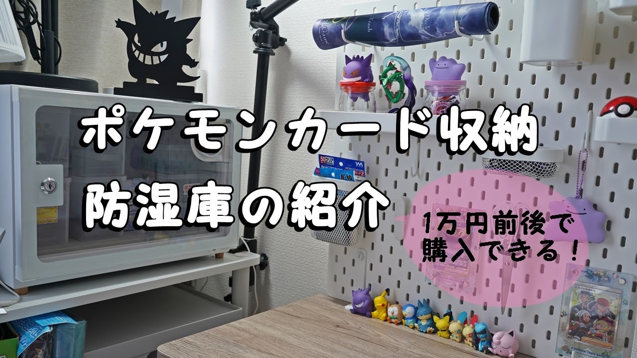 カード】最強の湿気対策！防湿庫を買ってみた【保管】 - YouTube