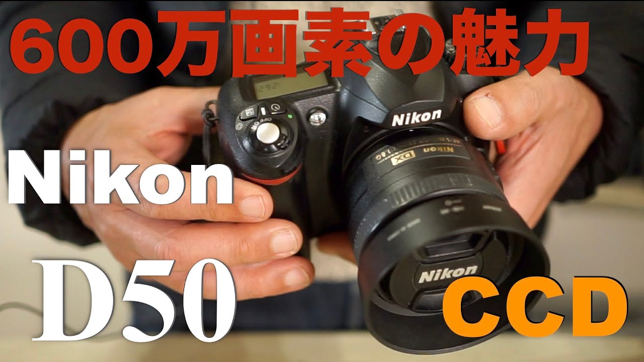 Nikon D60特集 第2弾・ダメなところ ＜ 撮ってて楽しい 的な10000円で