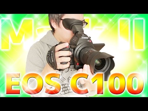 付属品をひとつずつ紹介します。Canon EOS C100 Mark IIがやってきた