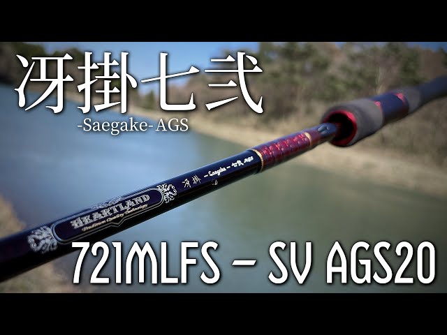 A thorough review of the legitimate successor model, the Saekake