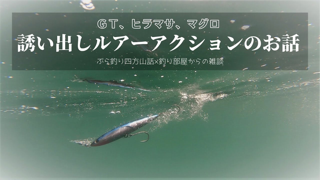Talk about lure action for luring GT, yellowtail, tuna. Chat from
