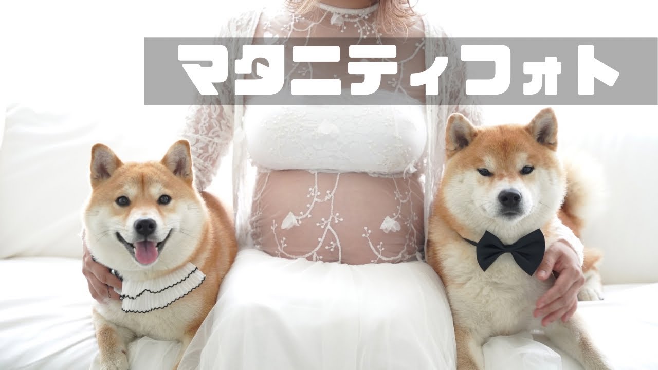 9 months pregnant, maternity photo shoot with the whole family