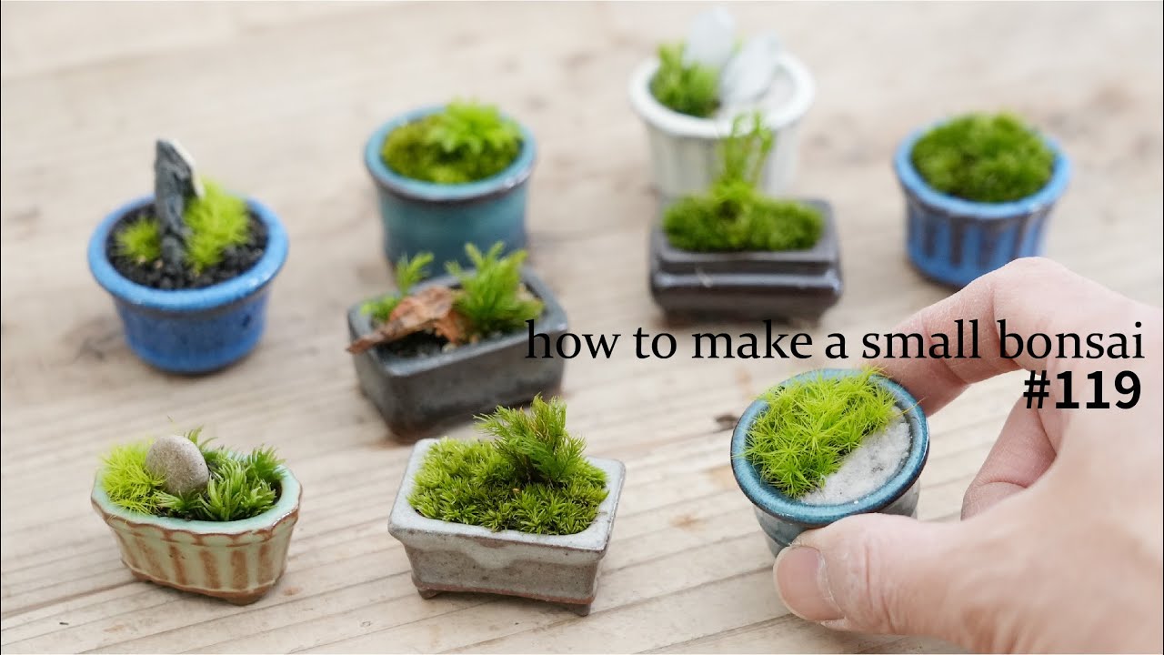 how to make a smallest bonsai #119 - YouTube