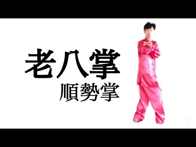 八卦掌〝老八掌〟｜第三掌〝順勢掌〟｜套路 - YouTube