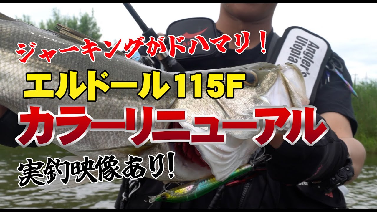 AILED'ORE115F | ルアー | APIA