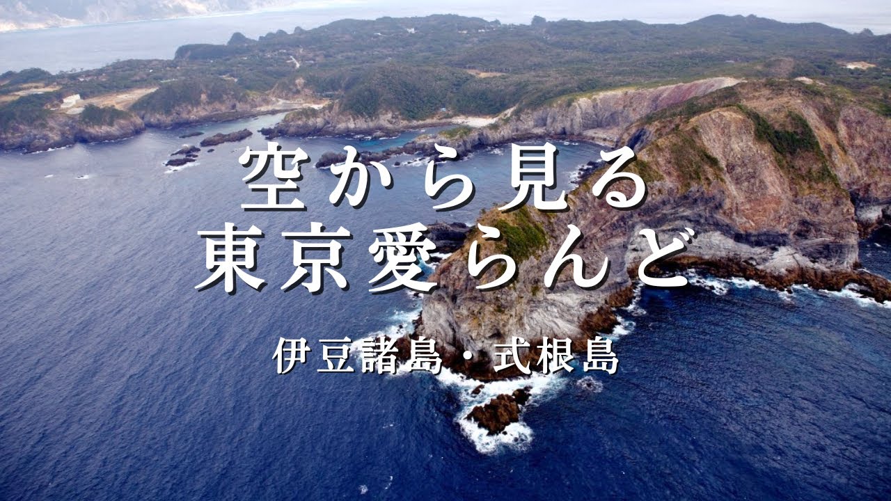 空から見る東京愛らんど（空撮映像）を公開しました | お知らせ | 伊豆