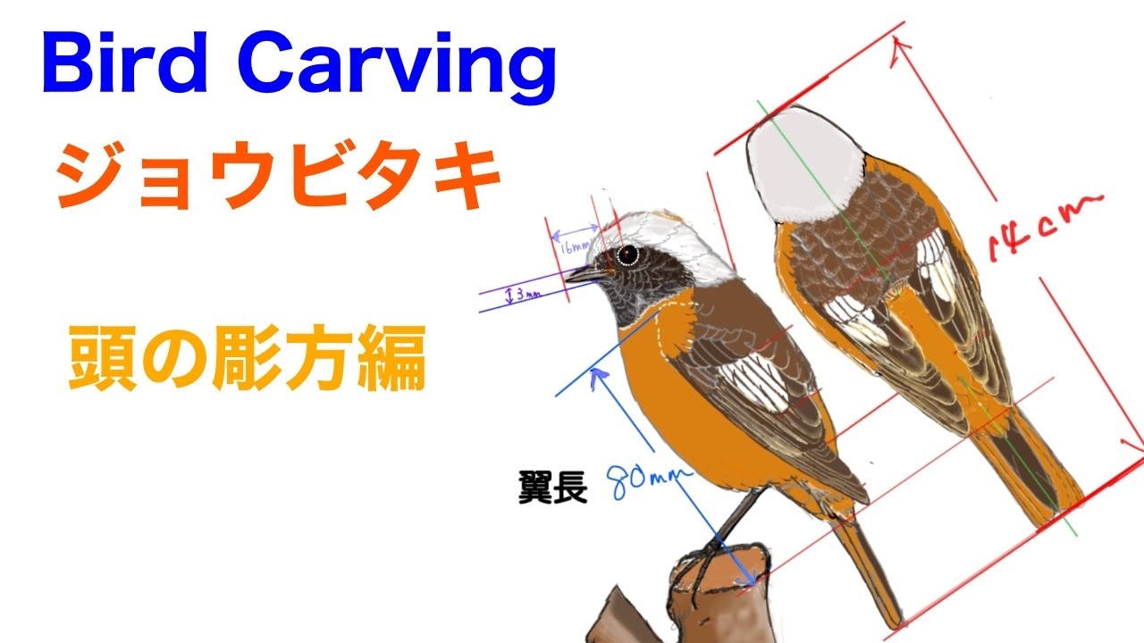 バードカービング（Birdcarving） ジョウビタキ1（頭の彫り方）あり