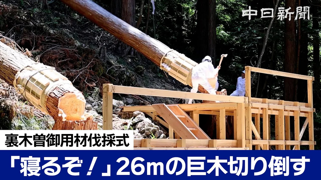 式年遷宮の神事の一つ「裏木曽御用材伐採式」 岐阜県中津川市 - YouTube