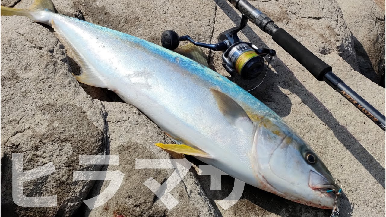 Introducing the Power Master (additional heavy model) - YouTube