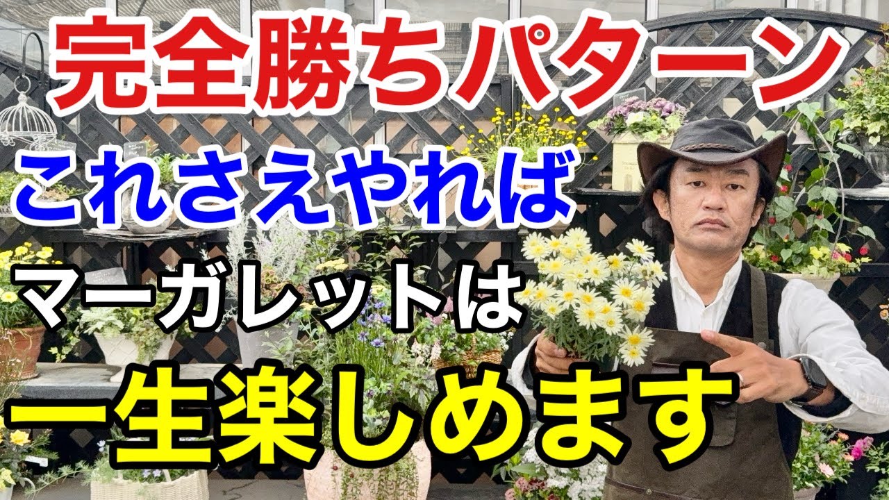 真夏だって増やせる】真夏の「挿し木・挿し芽」事情 / 発根するの？鉢