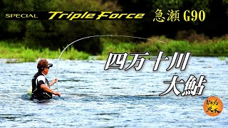 高知県 四万十川 大鮎釣り2026シマノ新製品鮎竿 トリプルフォース