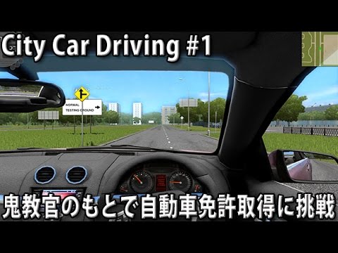 Trying to get a driver's license under the guidance of a strict