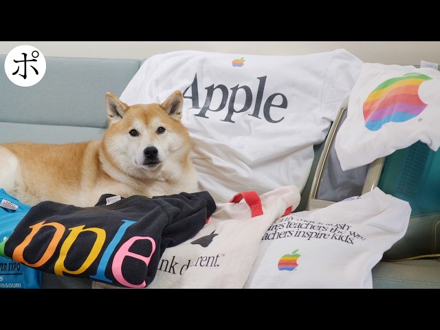 Celebrating the New iPhone] Welcome to the Apple swamp [Vintage T