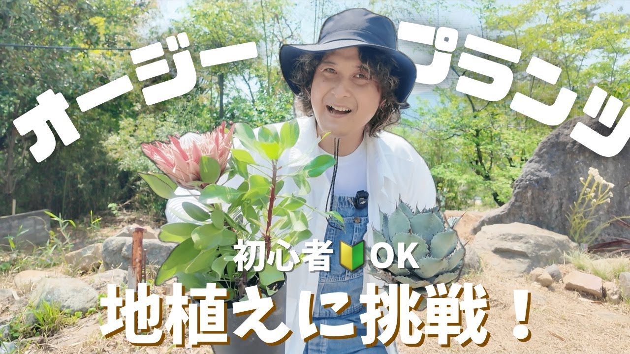 So cute!] Introducing 5 adorable eucalyptus plants you'll want to