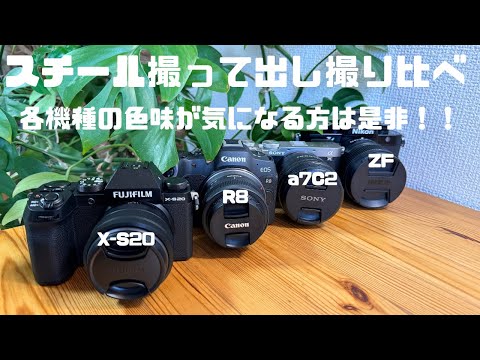 スチール撮り比べ SONY a7C2 CANON R8 NIKON ZF FUJIFILM X-S20 全て