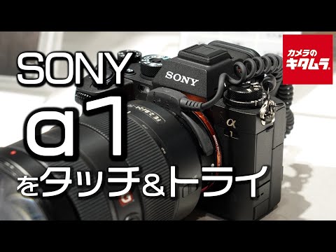 ソニー α1 ボディ [ILCE-1] | ミラーレス一眼