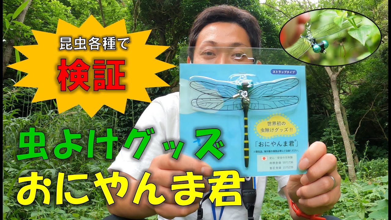 虫よけグッズ「おにやんま君」の効果を昆虫各種で検証してみた - YouTube